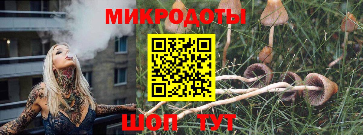Кропоткин  Галлюциногенные грибы MAGIC MUSHROOMS  Вход с VPN  Галлюциногенные грибы Psilocybine cubensis 