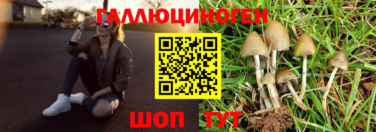Псилоцибиновые грибы Cubensis Кропоткин